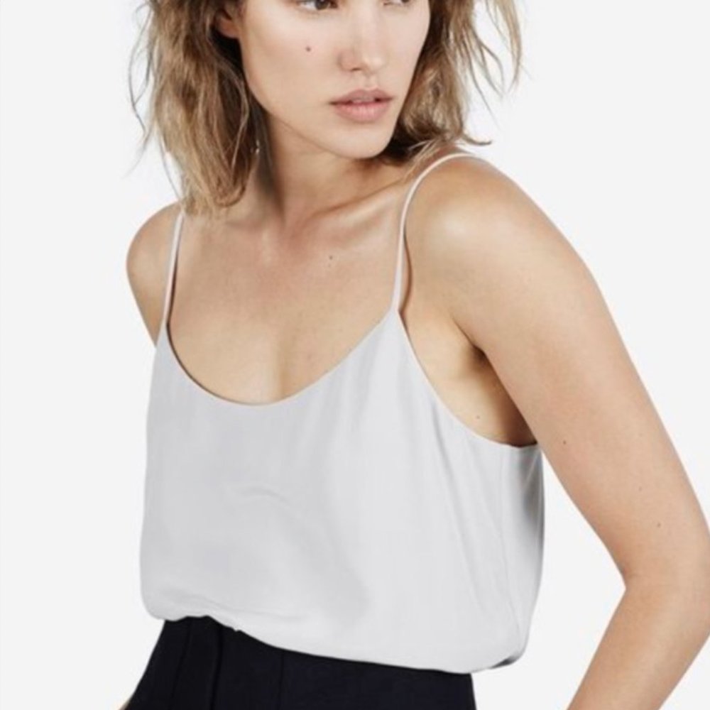 Grey/Blue Everlane Silk Cami
